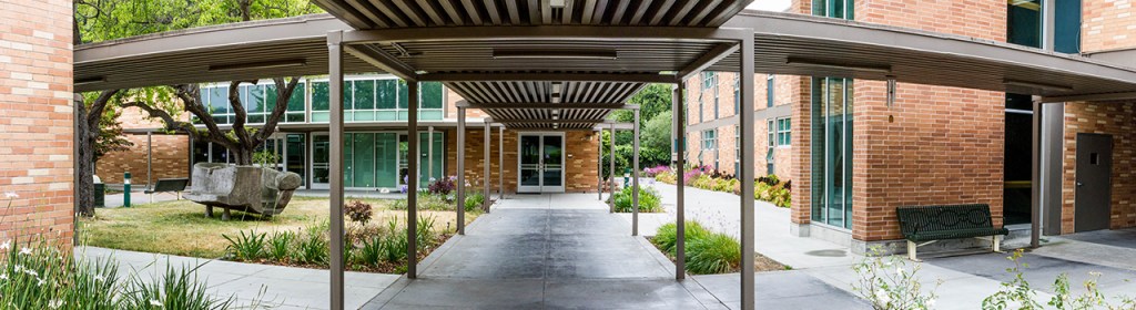 An Image of the first T-Intersection of the OCB Campus.